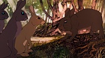 Watership Down picture