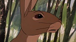 Watership Down picture