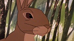 Watership Down picture