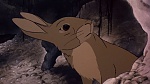 Watership Down picture