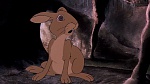 Watership Down picture