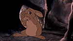 Watership Down picture