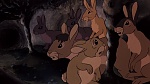 Watership Down picture