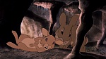 Watership Down picture