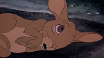 Watership Down picture