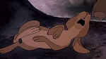 Watership Down picture