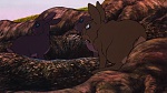 Watership Down picture