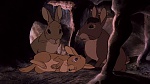 Watership Down picture
