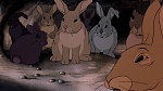 Watership Down picture