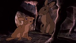 Watership Down picture