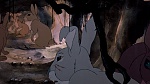 Watership Down picture
