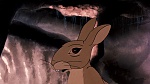Watership Down picture