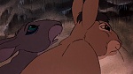 Watership Down picture