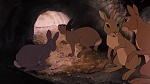 Watership Down picture