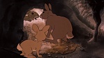 Watership Down picture