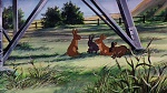 Watership Down picture