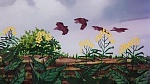 Watership Down picture