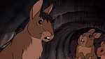 Watership Down picture