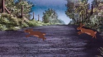 Watership Down picture