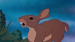 Watership Down picture
