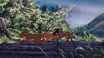 Watership Down picture