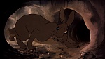 Watership Down picture