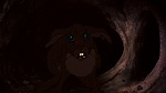 Watership Down picture