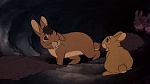 Watership Down picture