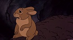 Watership Down picture