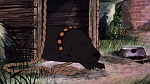 Watership Down picture