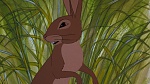 Watership Down picture