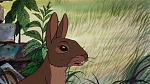 Watership Down picture