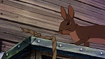 Watership Down picture