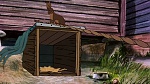 Watership Down picture
