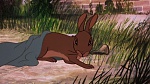 Watership Down picture