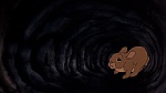 Watership Down picture
