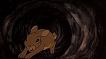 Watership Down picture