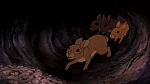 Watership Down picture
