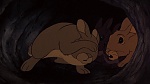 Watership Down picture