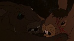 Watership Down picture