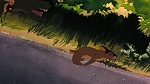 Watership Down picture