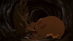 Watership Down picture