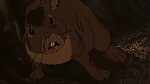 Watership Down picture