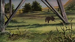 Watership Down picture