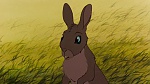 Watership Down picture