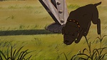 Watership Down picture