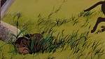 Watership Down picture