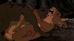 Watership Down picture