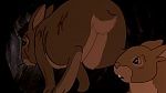 Watership Down picture