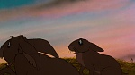 Watership Down picture